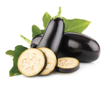 eggplant